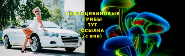 спайс Белокуриха