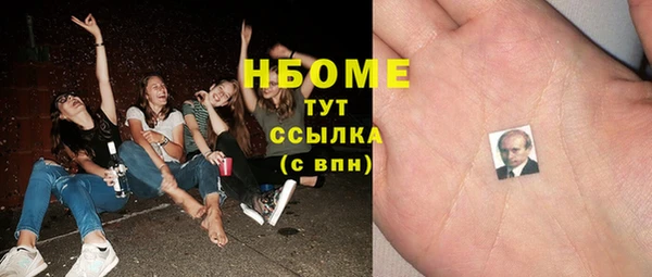 прущие грибы Ельня