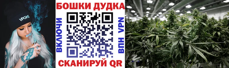 Бошки марихуана SATIVA & INDICA  Покровск 